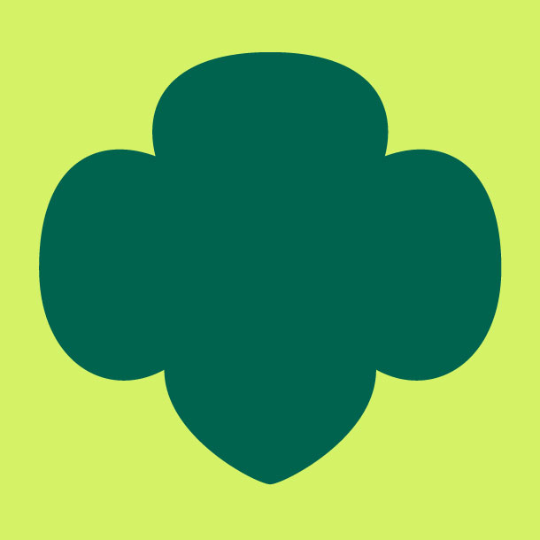 3/27/25 Bronze Award Workshop - Virtual